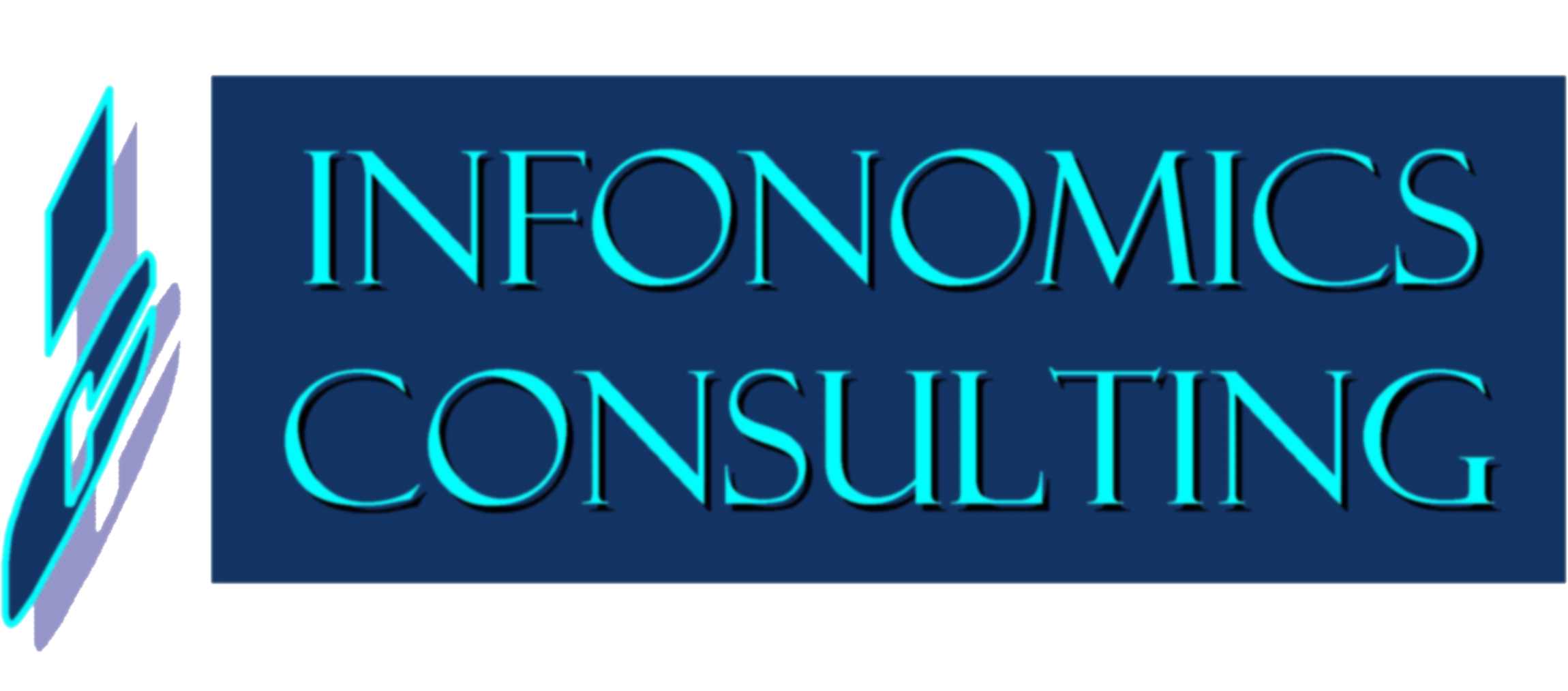 Infonomics-Consulting